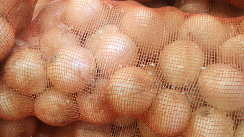 Onions in plastic mesh sacks